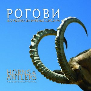 Рогови – борбено знамење сисара